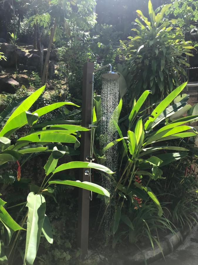 Rock And Palm Lodge Self Catering Appartment Baie Lazare  エクステリア 写真