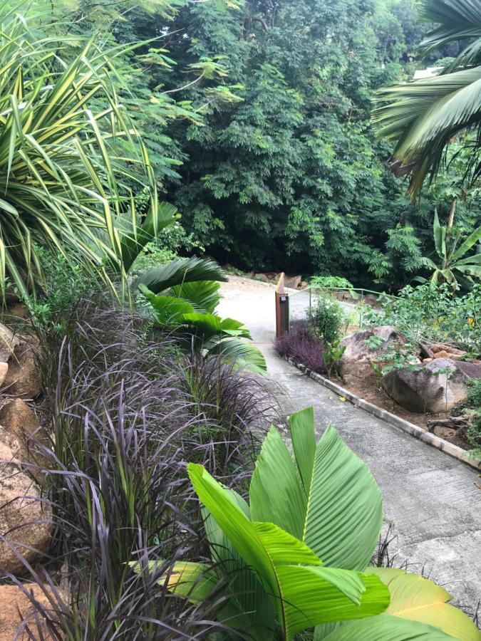 Rock And Palm Lodge Self Catering Appartment Baie Lazare  エクステリア 写真